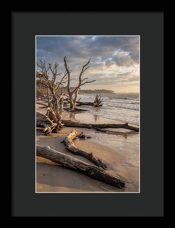 Driftwood Beach Serenity