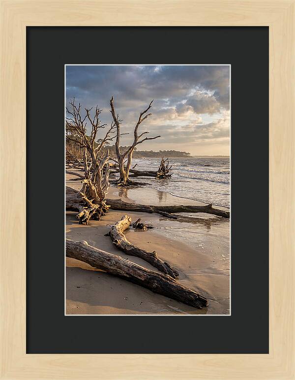 Driftwood Beach Serenity
