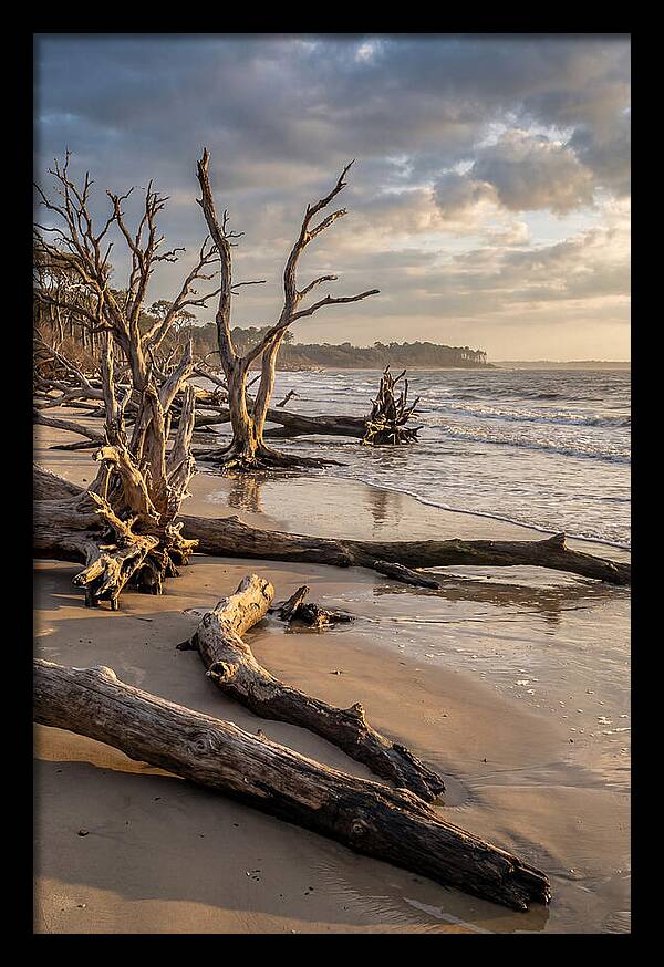 Driftwood Beach Serenity