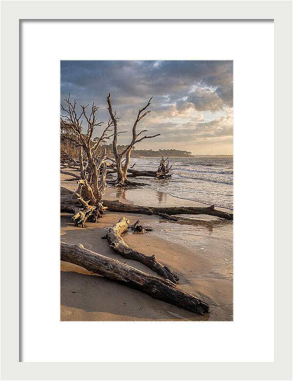 Driftwood Beach Serenity