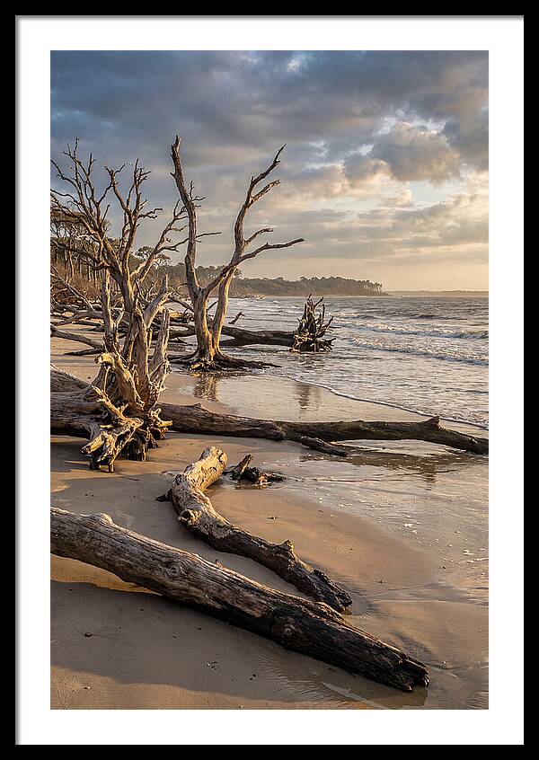 Driftwood Beach Serenity