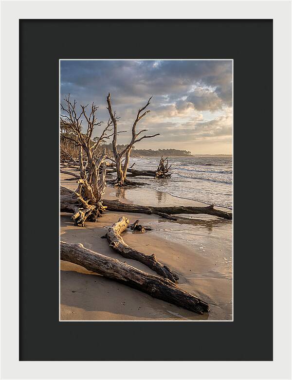 Driftwood Beach Serenity