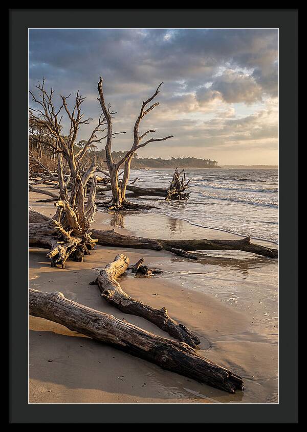 Driftwood Beach Serenity