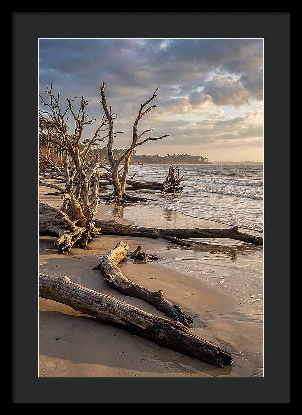 Driftwood Beach Serenity