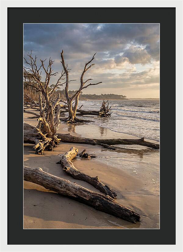 Driftwood Beach Serenity