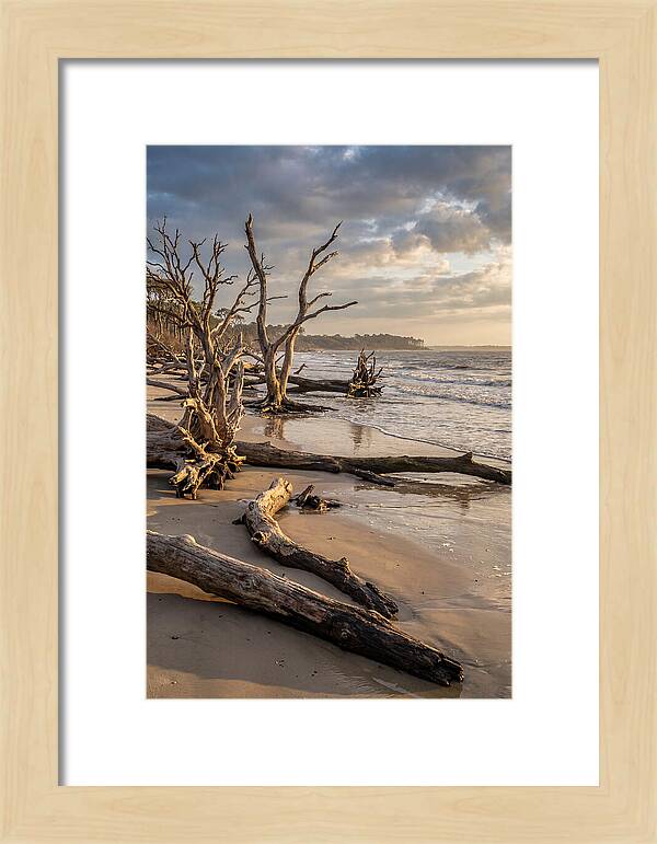 Driftwood Beach Serenity