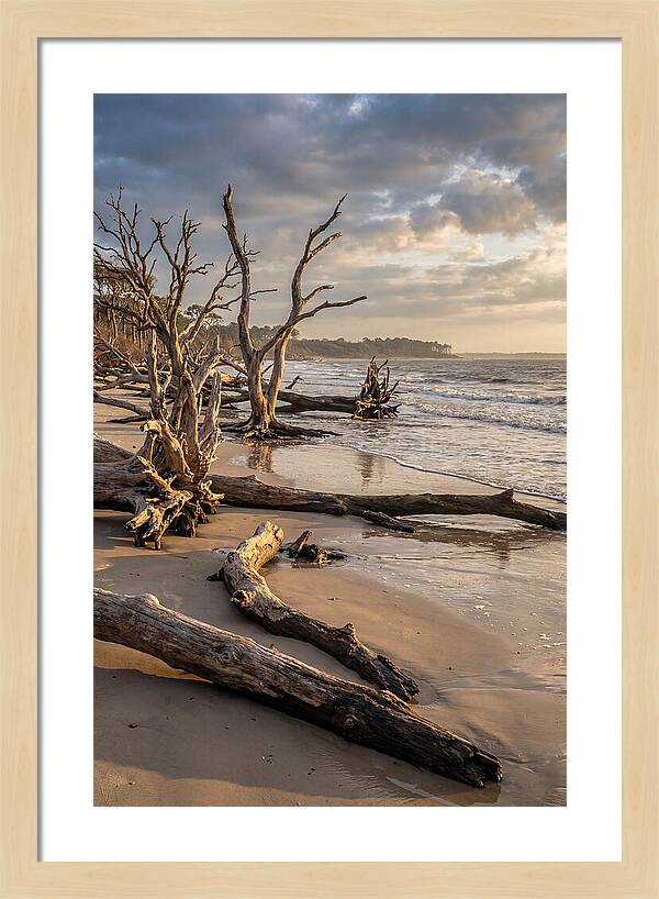Driftwood Beach Serenity
