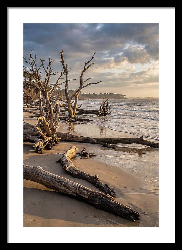 Driftwood Beach Serenity