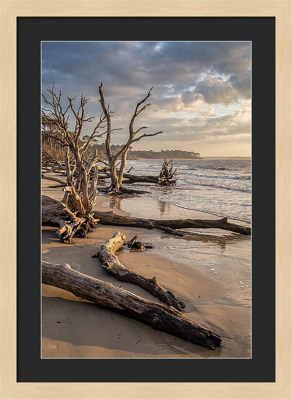 Driftwood Beach Serenity