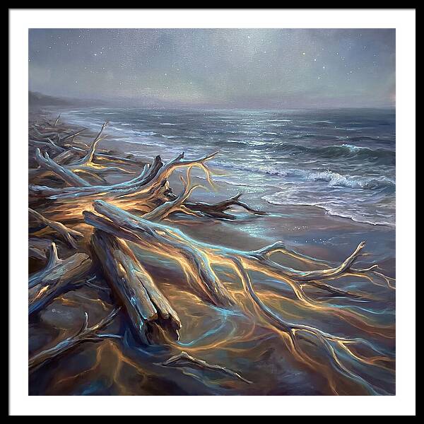 Driftwood Beach Serenity