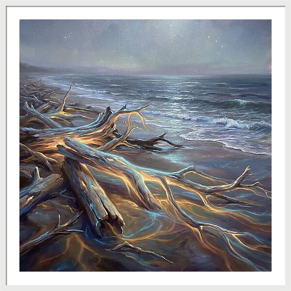 Driftwood Beach Serenity