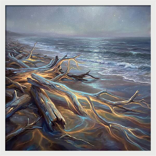 Driftwood Beach Serenity