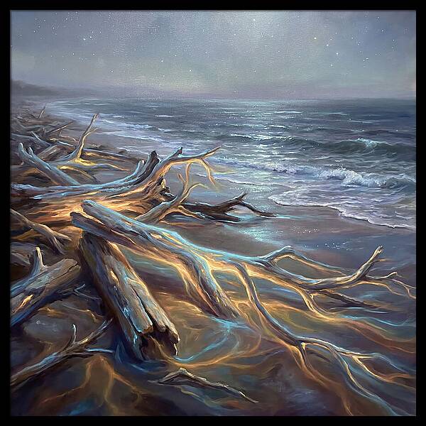Driftwood Beach Serenity