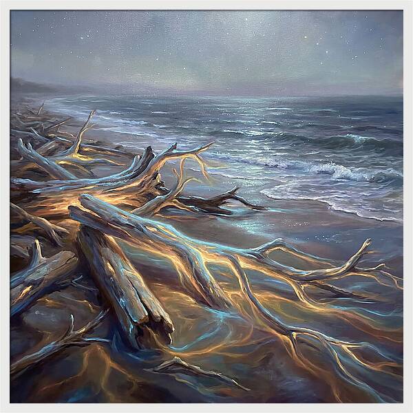Driftwood Beach Serenity