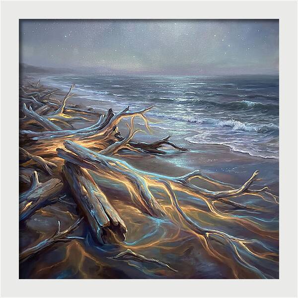 Driftwood Beach Serenity