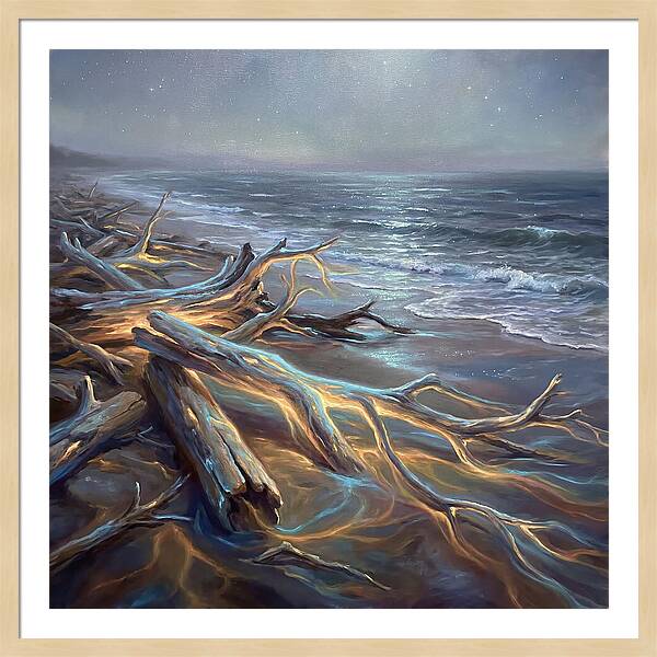 Driftwood Beach Serenity