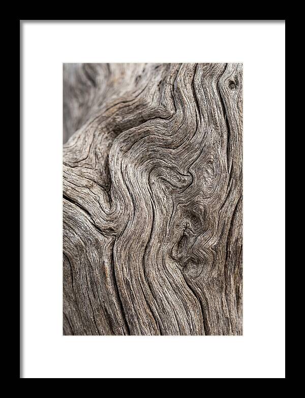 Driftwood Grain Patterns