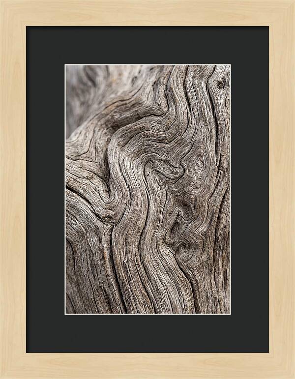 Driftwood Grain Patterns