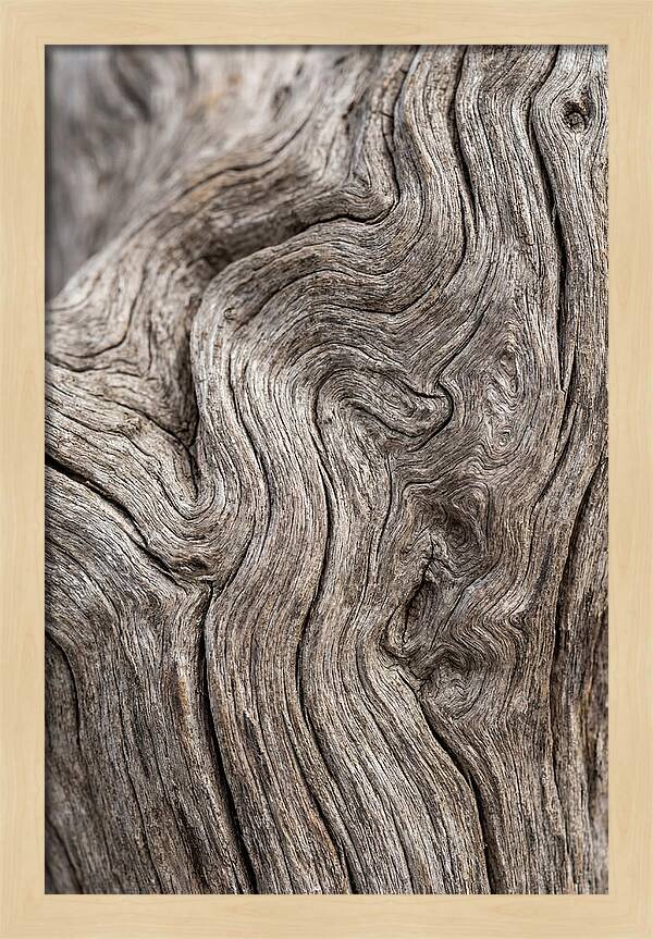 Driftwood Grain Patterns