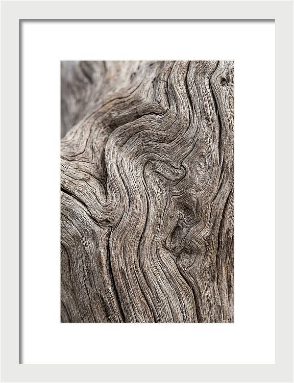 Driftwood Grain Patterns
