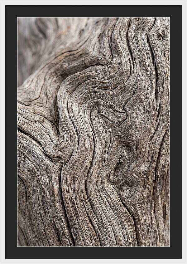 Driftwood Grain Patterns