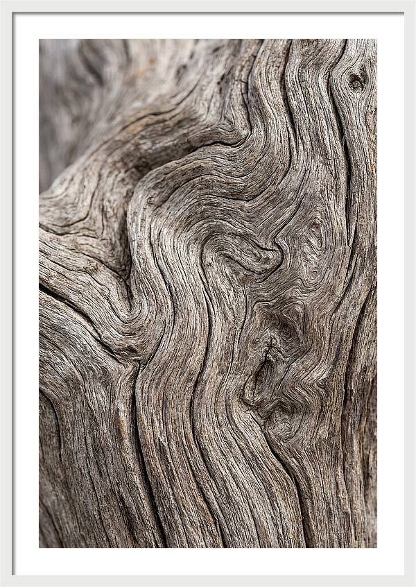 Driftwood Grain Patterns