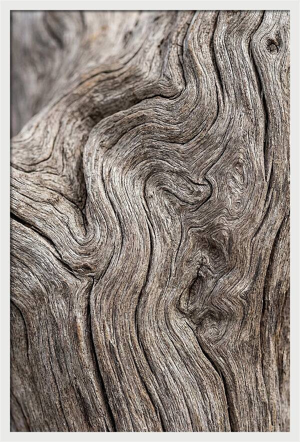 Driftwood Grain Patterns