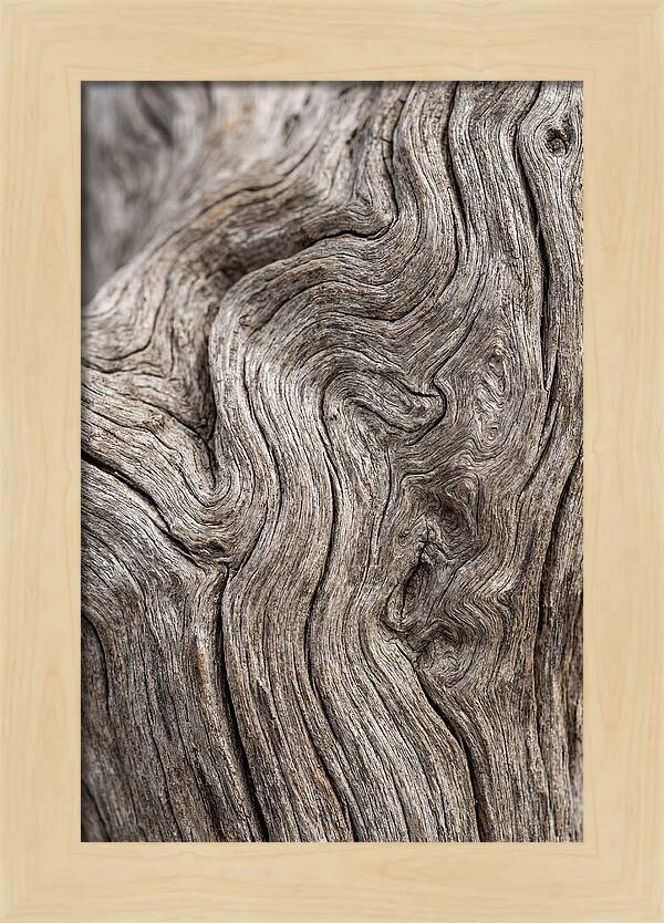 Driftwood Grain Patterns