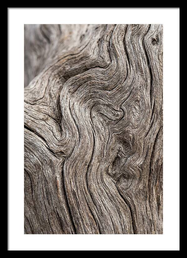 Driftwood Grain Patterns