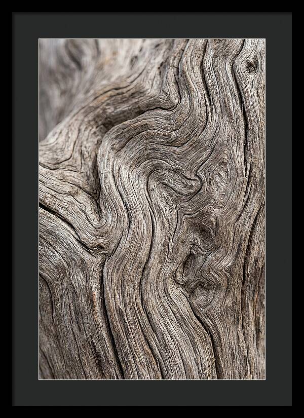 Driftwood Grain Patterns