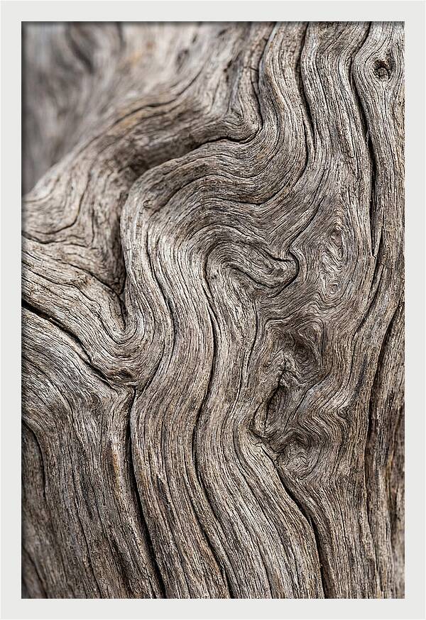 Driftwood Grain Patterns