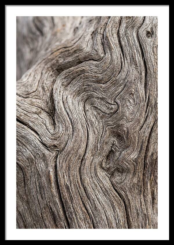 Driftwood Grain Patterns