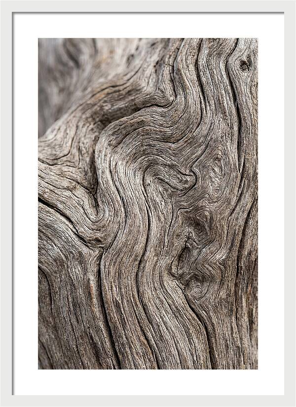 Driftwood Grain Patterns