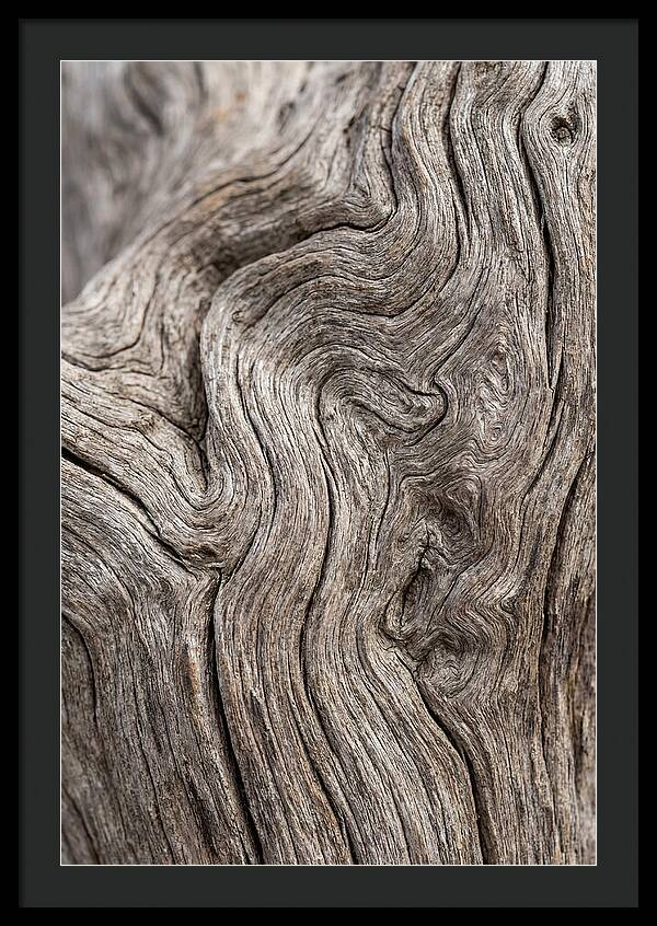 Driftwood Grain Patterns