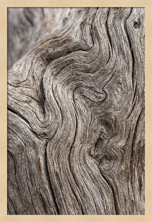 Driftwood Grain Patterns