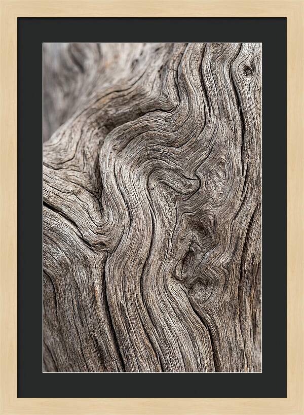 Driftwood Grain Patterns
