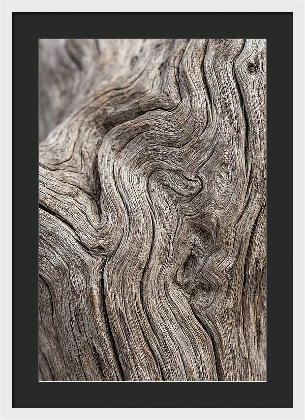 Driftwood Grain Patterns