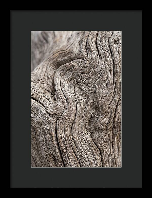 Driftwood Grain Patterns