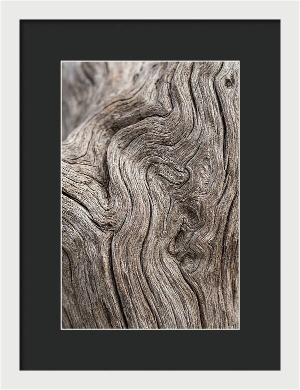 Driftwood Grain Patterns