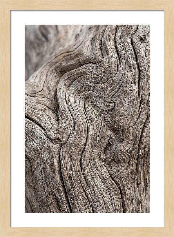 Driftwood Grain Patterns