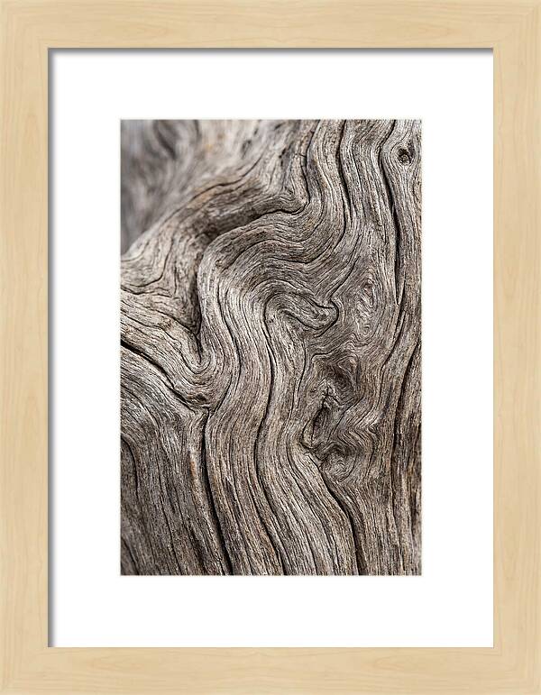 Driftwood Grain Patterns