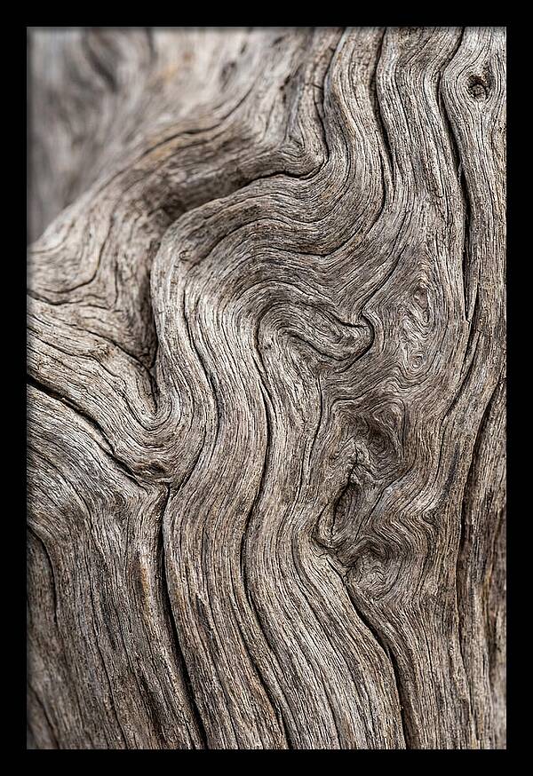 Driftwood Grain Patterns