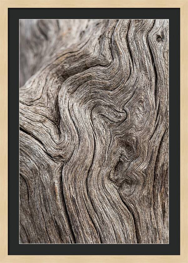 Driftwood Grain Patterns