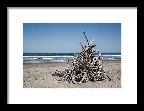 Driftwood Sculpture On Serene Shore