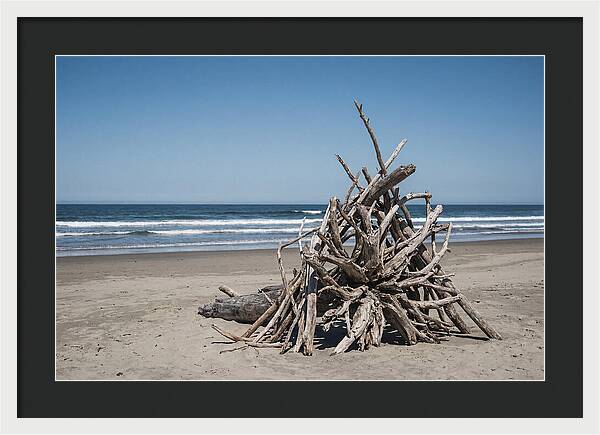 Driftwood Sculpture On Serene Shore
