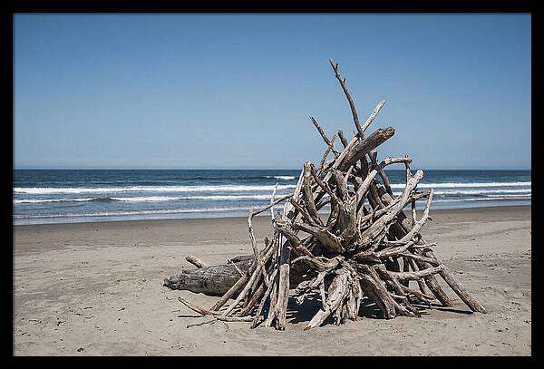 Driftwood Sculpture On Serene Shore