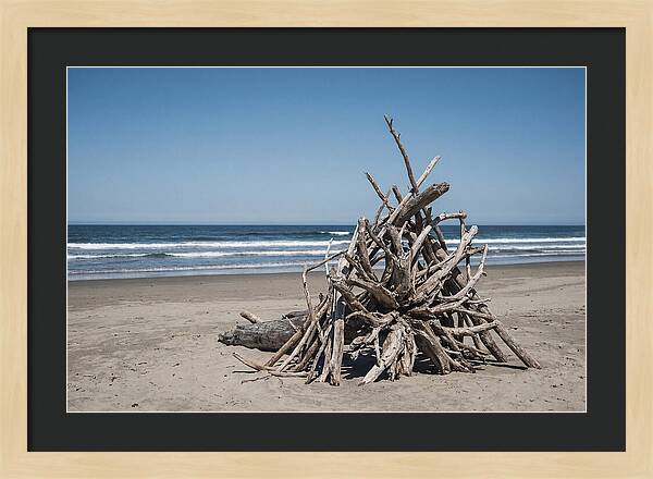 Driftwood Sculpture On Serene Shore