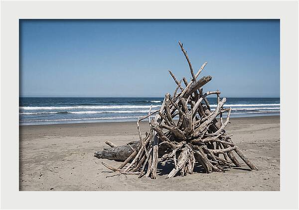 Driftwood Sculpture On Serene Shore