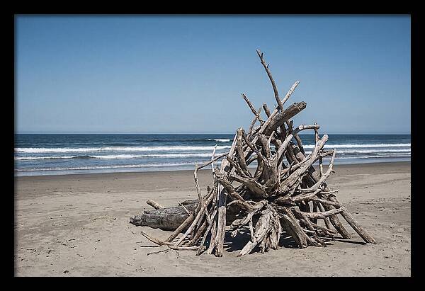 Driftwood Sculpture On Serene Shore