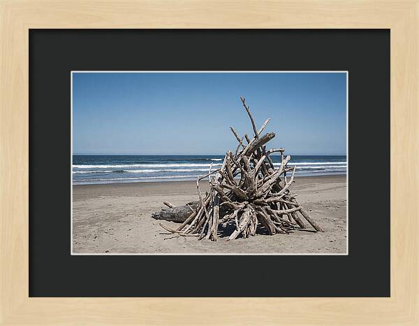 Driftwood Sculpture On Serene Shore